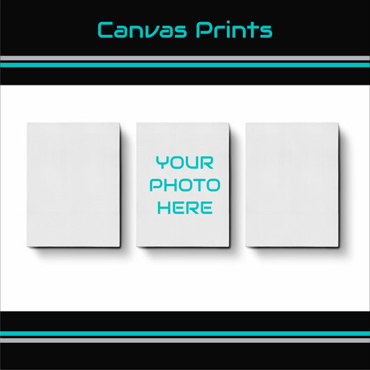 Canvas (Print Only)